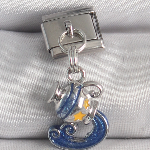316L Çelik Gümüş Renk Sallantı Kova Burç Model Nomination Charm