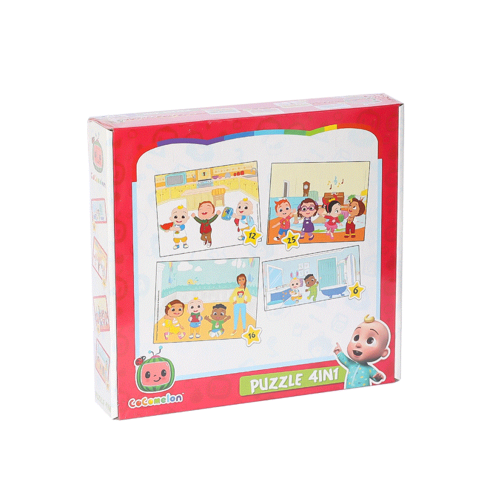 CO7899 4IN1 Puzzle