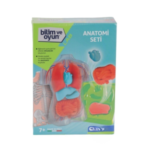 64742 Bilim ve Oyun - Anatomi Seti
