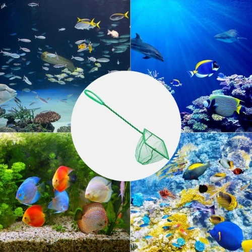 Akvaryum Balık Kepçesi – 7,5 cm 1 Akvaryum Balık Kepçesi – 7,5 cm