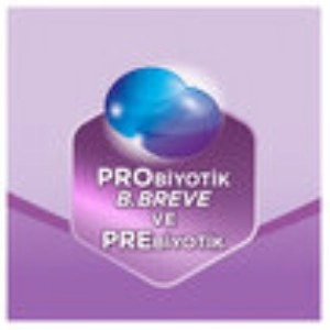Devam Sütü No2 6-12 Ay 800 Gr