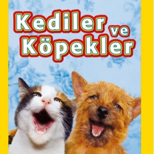 Kediler ve Köpekler