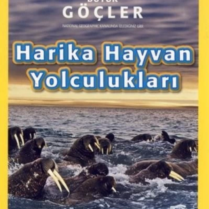 Kids - Harika Hayvan Yolculukları