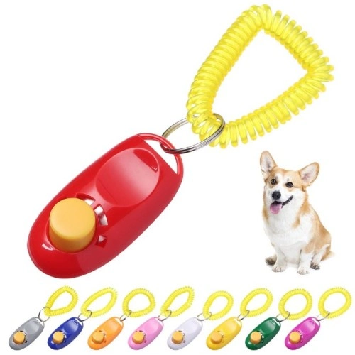 Köpek Eğitimi Clicker 1 Köpek Eğitimi Clicker