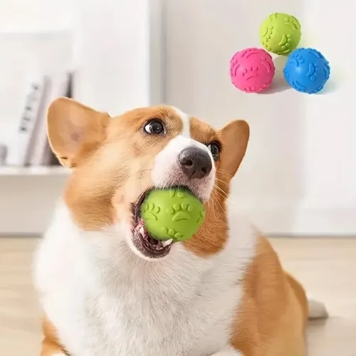 Pati Desenli Dayanıklı Köpek Isırma Topu