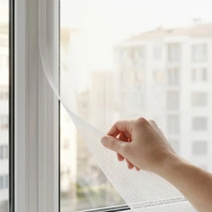 PENCERE SİNEKLİK