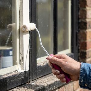 Mini Boya Rulo Seti 10 Cm Boya Fırçası 6 Adet Yedek Rulo Hediyeli Boya Uygulama Aparatı