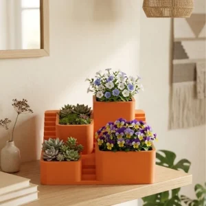 3D Modern Çok Bölmeli Kaktüs Saksı Seti Dekoratif Masaüstü Sukulent Standı