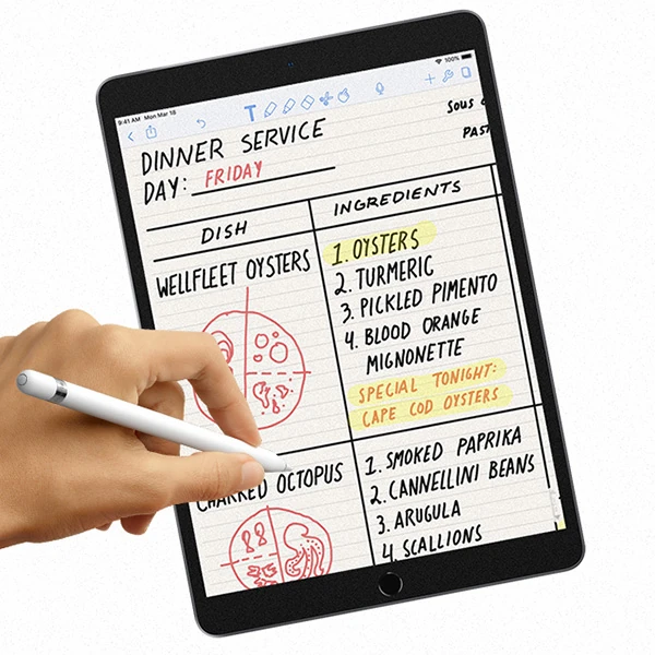 ALLY İPad Pro/Air 310.5 İnch Paper Like Film Darbe Emici Pet Ekran Koruyucu 4 ALLY İPad Pro/Air 310.5 İnch Paper Like Film Darbe Emici Pet Ekran Koruyucu - Görsel 4