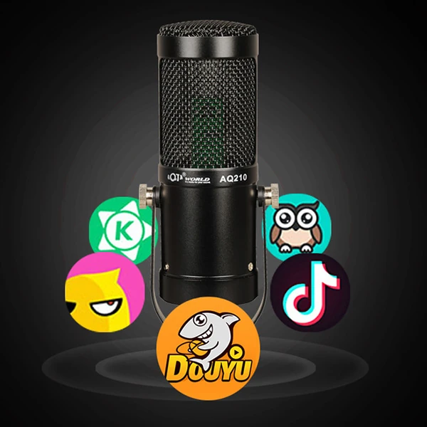 AQ210 Condenser Stüdyo Profesyonel Kayıt ve Yayın Mikrofonu Studio-(5775) 3 AQ210 Condenser Stüdyo Profesyonel Kayıt ve Yayın Mikrofonu Studio-(5775) - Görsel 3