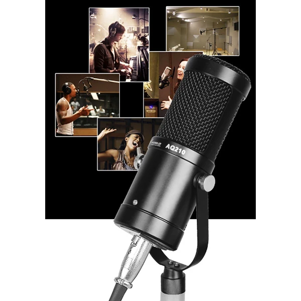 AQ210 Condenser Stüdyo Profesyonel Kayıt ve Yayın Mikrofonu Studio-(5775) 4 AQ210 Condenser Stüdyo Profesyonel Kayıt ve Yayın Mikrofonu Studio-(5775) - Görsel 4