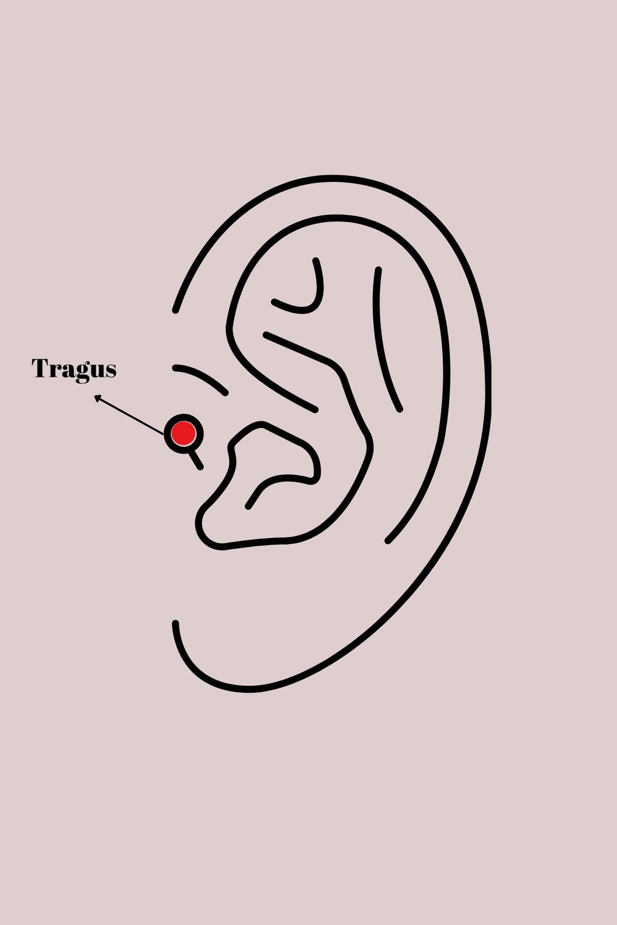316L Çelik Gümüş Renk Zirkon Taşlı Toplu İğne Tragus Piercing 5886 2 316L Çelik Gümüş Renk Zirkon Taşlı Toplu İğne Tragus Piercing 5886 - Görsel 2