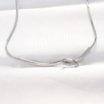 316L Çelik Silver Renk Kolye 5886