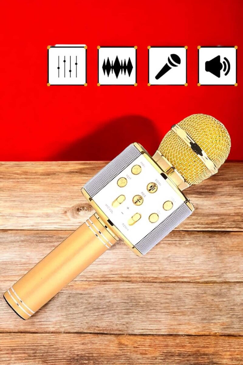 Şarjlı ve Uzun Pil Ömürlü Karaoke Mikrofon USB Bellek Destekli Profesyonel Ses 4 Şarjlı ve Uzun Pil Ömürlü Karaoke Mikrofon USB Bellek Destekli Profesyonel Ses - Görsel 4