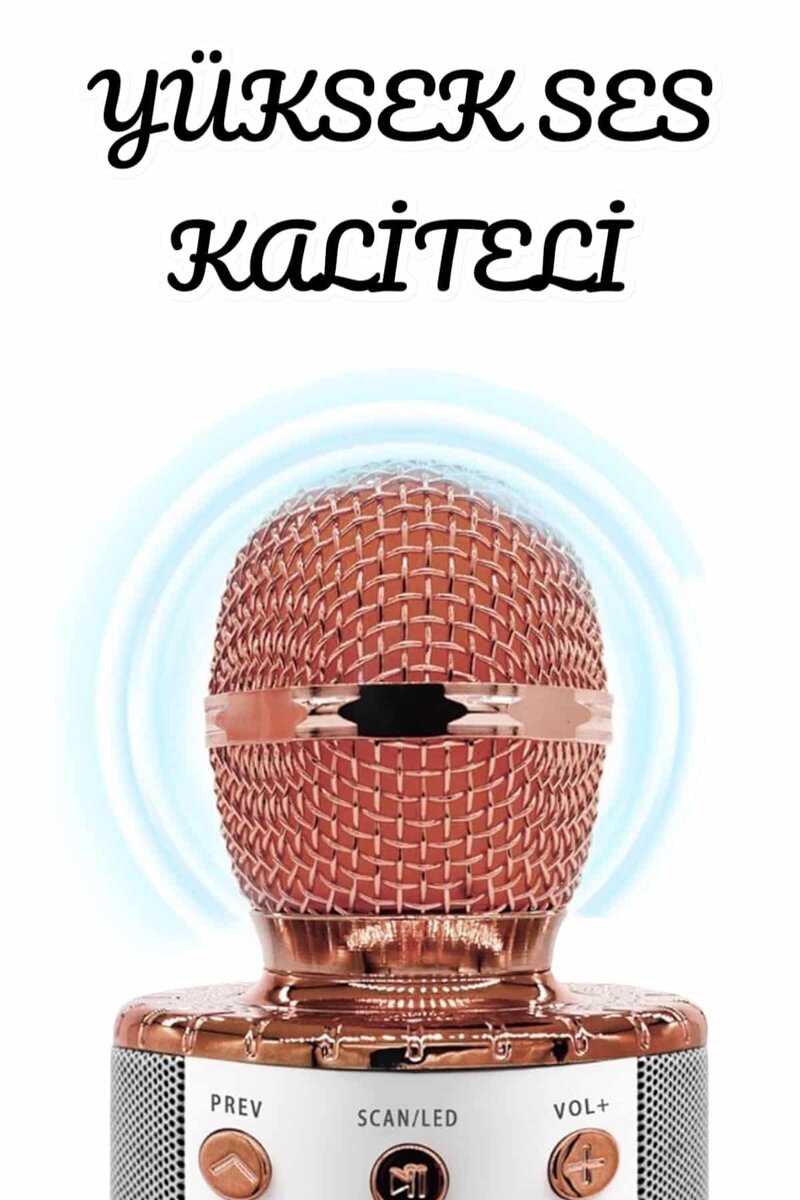 Şarjlı ve Uzun Pil Ömürlü Karaoke Mikrofon USB Bellek Destekli Profesyonel Ses 3 Şarjlı ve Uzun Pil Ömürlü Karaoke Mikrofon USB Bellek Destekli Profesyonel Ses - Görsel 3