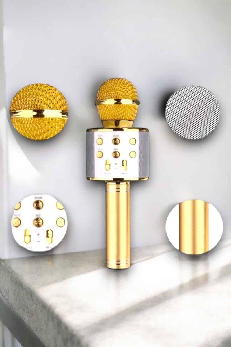 Taşınabilir Bluetooth Karaoke Mikrofon: Hafıza Kart Girişli Etkileyici Performans 2 Taşınabilir Bluetooth Karaoke Mikrofon: Hafıza Kart Girişli Etkileyici Performans - Görsel 2