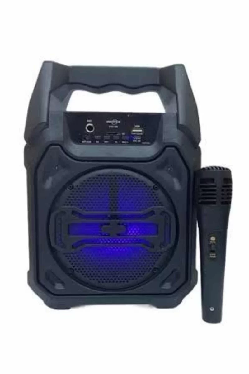 10W Güçlü Ses Performanslı Bluetooth Karaoke Hoparlörü 4 10W Güçlü Ses Performanslı Bluetooth Karaoke Hoparlörü - Görsel 4
