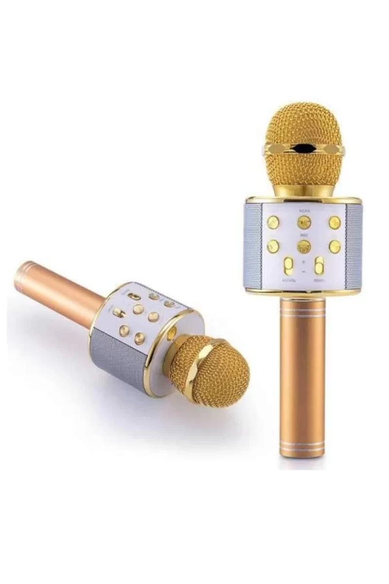 Karaoke Mikrofon Dahili Hoparlörlü Sd-usb-aux Girişli Bluetooth Hoparlör 2 Karaoke Mikrofon Dahili Hoparlörlü Sd-usb-aux Girişli Bluetooth Hoparlör - Görsel 2
