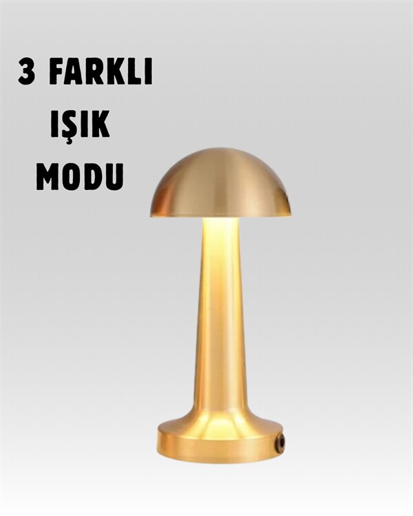 USB Şarjlı Dokunmatik LED Masa Lambası – 3 Renk Modu & Dimmer 2 USB Şarjlı Dokunmatik LED Masa Lambası – 3 Renk Modu & Dimmer - Görsel 2