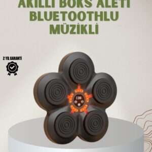 Bluetoothlu Akıllı Boks Antrenman Cihazı Işıklı Hedefli Kardiyo ve Fitness Aleti