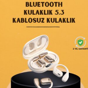 Haydiburaya 14 Yüksek Ses Kaliteli AI Çeviri Kulaklık
