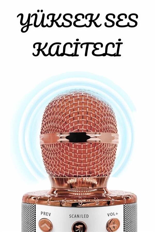 Şarjlı ve Uzun Pil Ömürlü Karaoke Mikrofon USB Bellek Destekli Profesyonel Ses 3 Şarjlı ve Uzun Pil Ömürlü Karaoke Mikrofon USB Bellek Destekli Profesyonel Ses - Görsel 3