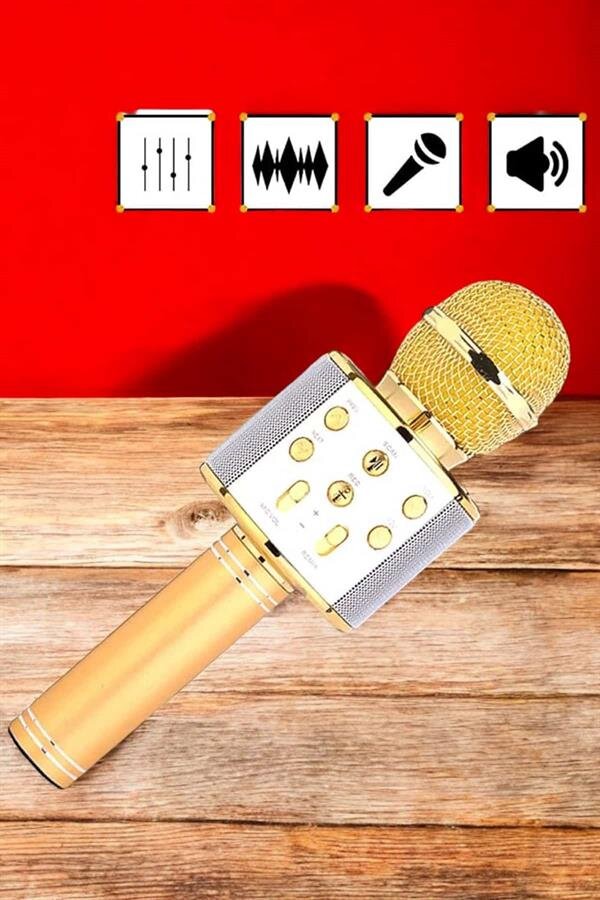 Şarjlı ve Uzun Pil Ömürlü Karaoke Mikrofon USB Bellek Destekli Profesyonel Ses 4 Şarjlı ve Uzun Pil Ömürlü Karaoke Mikrofon USB Bellek Destekli Profesyonel Ses - Görsel 4