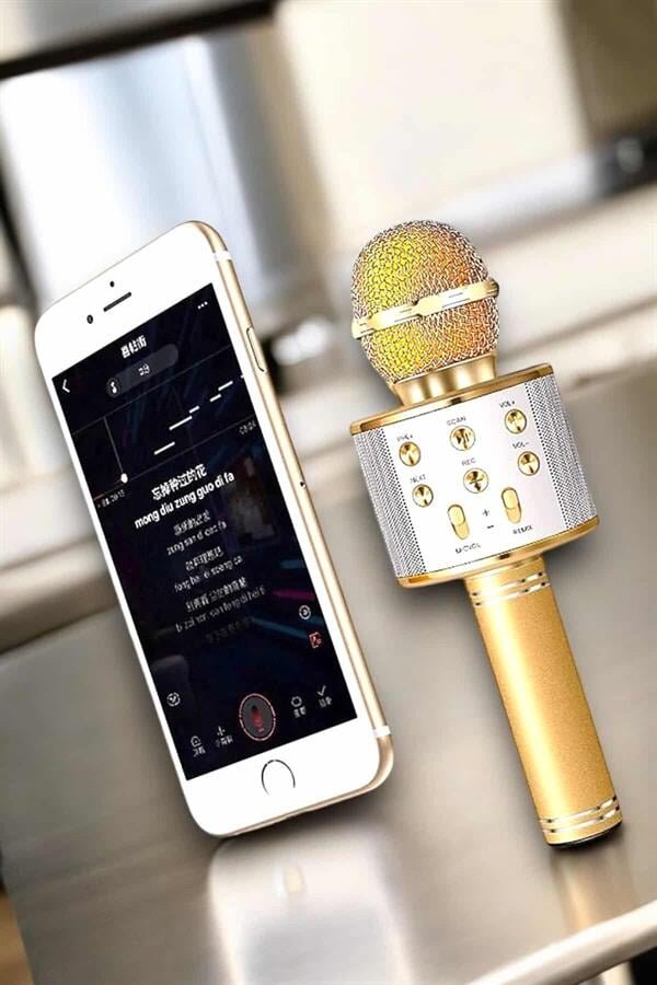 Şarjlı ve Uzun Pil Ömürlü Karaoke Mikrofon USB Bellek Destekli Profesyonel Ses 1 Şarjlı ve Uzun Pil Ömürlü Karaoke Mikrofon USB Bellek Destekli Profesyonel Ses