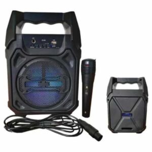 Karaoke Mikrofonlu Fm Radyolu Bluetooth Hoparlör Yüksek Ses Kaliteli