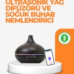 Zaman Ayarlı ve Otomatik Kapanma Özellikli Buhar Makinesi