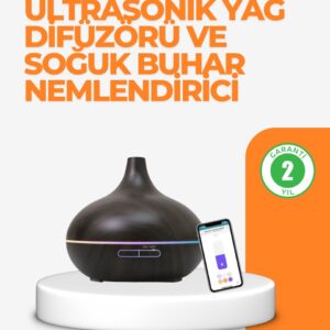 Zaman Ayarlı ve Otomatik Kapanma Özellikli Buhar Makinesi