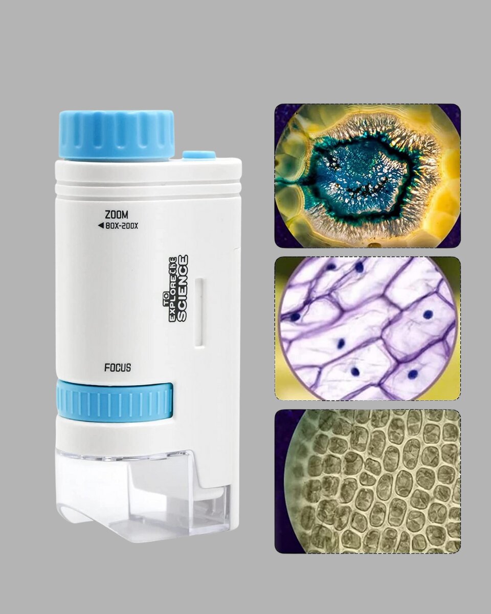 LED Işıklı Mikroskop 80X–200X Zoom Eğitici Bilim Seti ve Taşınabilir 4 LED Işıklı Mikroskop 80X–200X Zoom Eğitici Bilim Seti ve Taşınabilir - Görsel 4