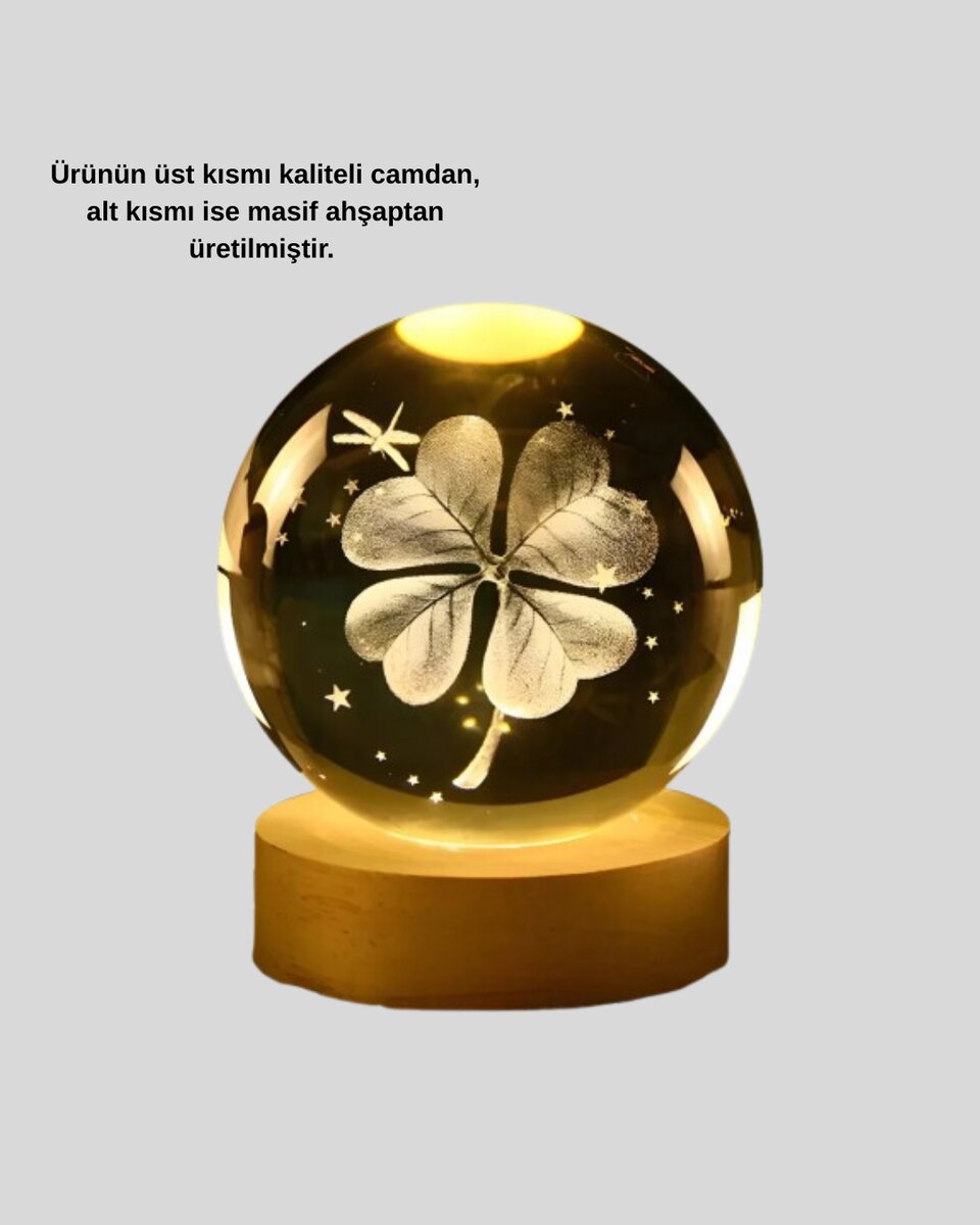 USB Bağlantılı Yonca Bitkili Cam Küre Ahşap Altlıklı Dekoratif Lamba 2 USB Bağlantılı Yonca Bitkili Cam Küre Ahşap Altlıklı Dekoratif Lamba - Görsel 2