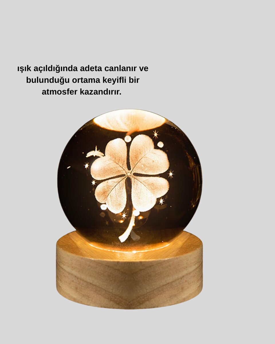 USB Bağlantılı Yonca Bitkili Cam Küre Ahşap Altlıklı Dekoratif Lamba 3 USB Bağlantılı Yonca Bitkili Cam Küre Ahşap Altlıklı Dekoratif Lamba - Görsel 3