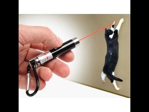 4 Yedek Başlıklı Pilli Kedi Oyuncağı Lazer Anahtarlık 5 4 Yedek Başlıklı Pilli Kedi Oyuncağı Lazer Anahtarlık - Görsel 5