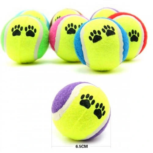 At Getir Köpek Eğitim Topu 3 At Getir Köpek Eğitim Topu - Görsel 3