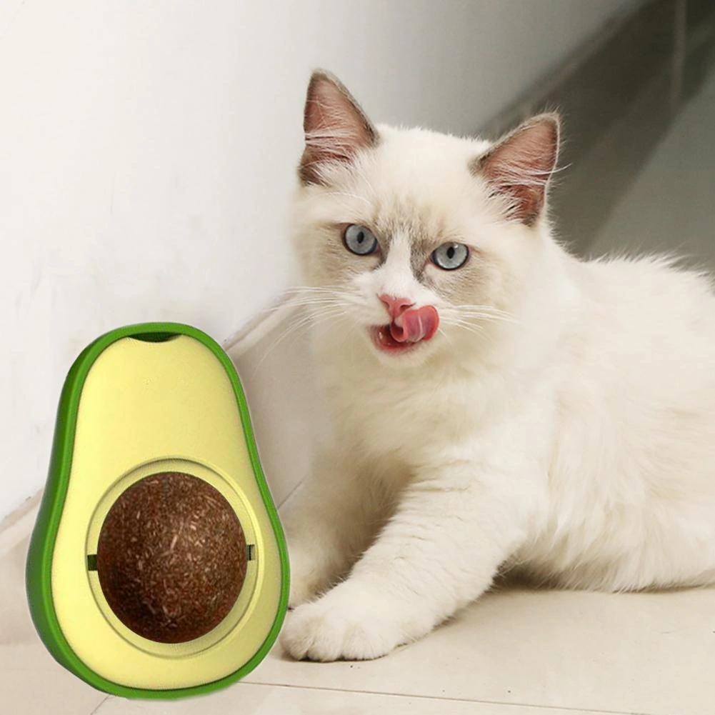 Avokado Dönen Kedi Nanesi Cat Oyun Topu Doğal Kedi Oyuncağı 3 Avokado Dönen Kedi Nanesi Cat Oyun Topu Doğal Kedi Oyuncağı - Görsel 3