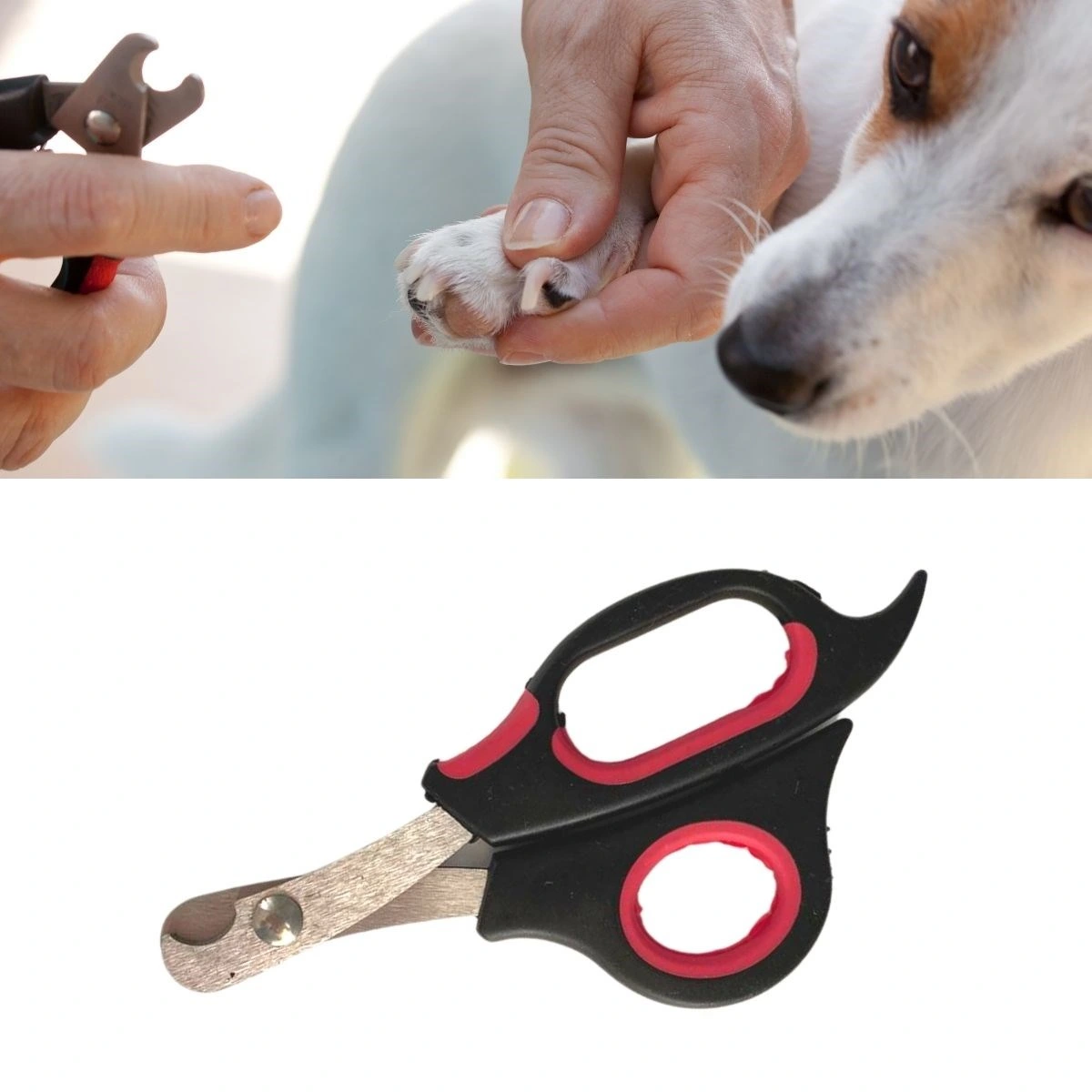 Büyük Boy Evcil Hayvan Köpek Kedi Çelik Uçlu Tırnak Makası Pati Bakım Aleti 1 Büyük Boy Evcil Hayvan Köpek Kedi Çelik Uçlu Tırnak Makası Pati Bakım Aleti