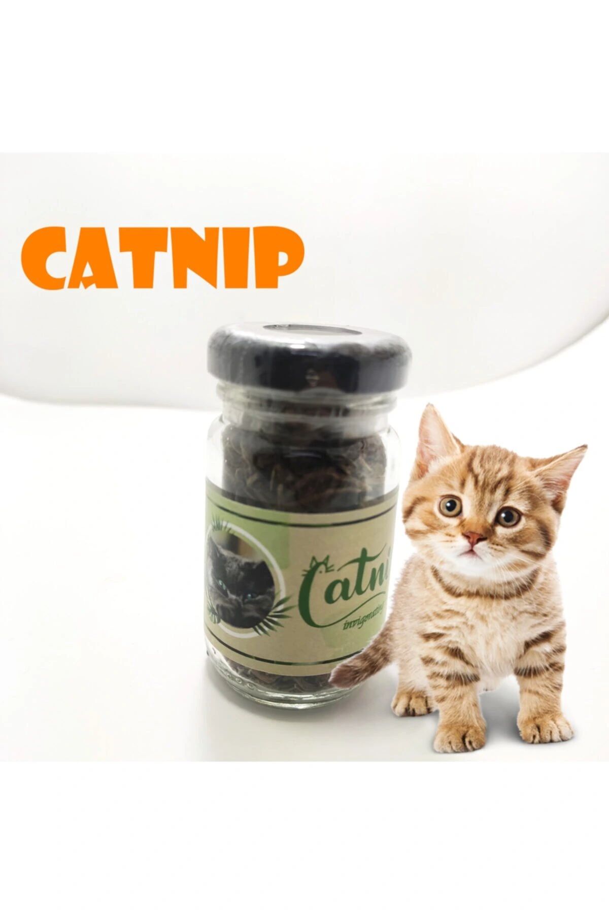 Catnip Doğal Kedi Otu - Kedi Nanesi 1 Catnip Doğal Kedi Otu - Kedi Nanesi