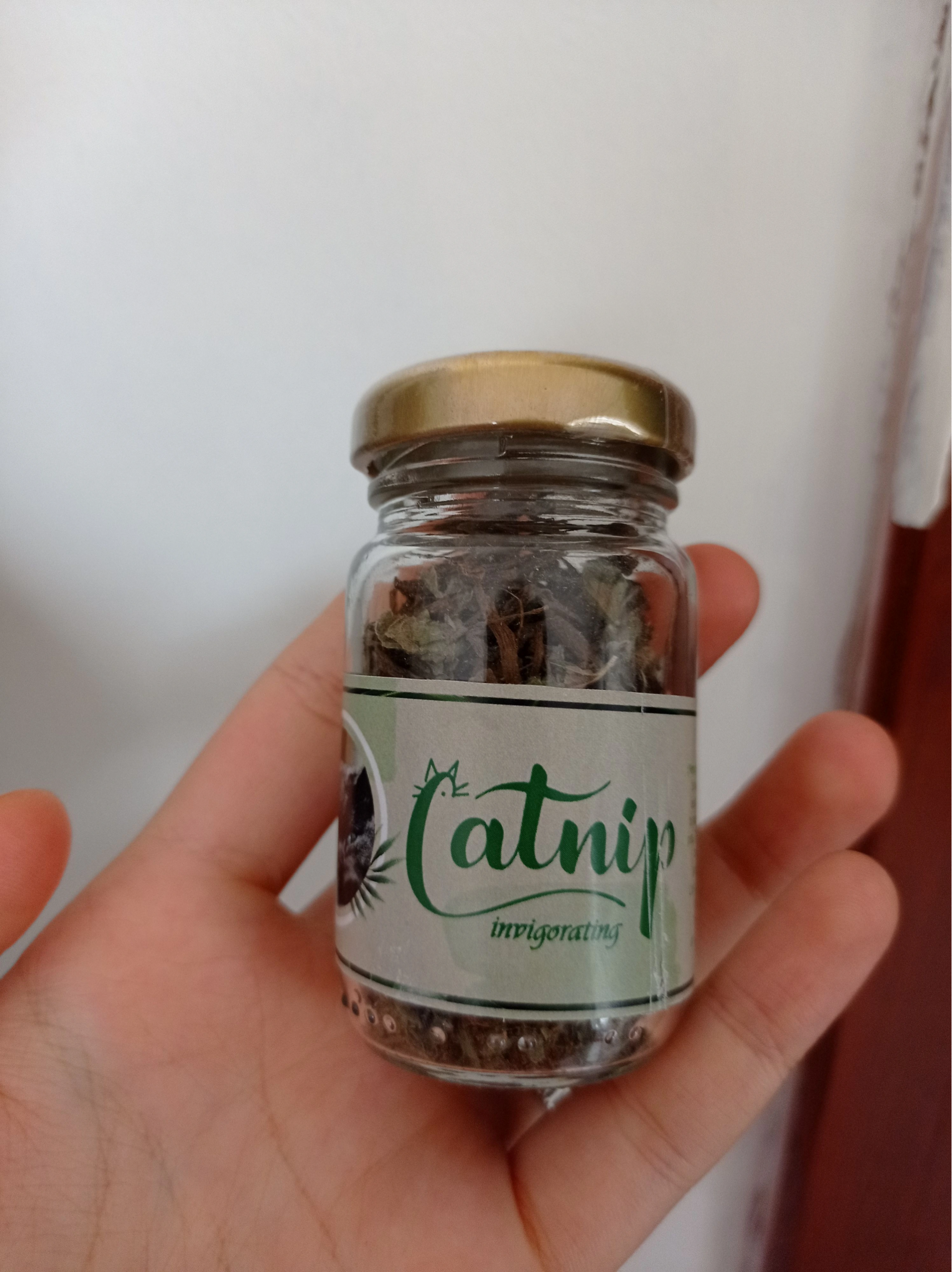 Catnip Doğal Kedi Otu - Kedi Nanesi 2 Catnip Doğal Kedi Otu - Kedi Nanesi - Görsel 2
