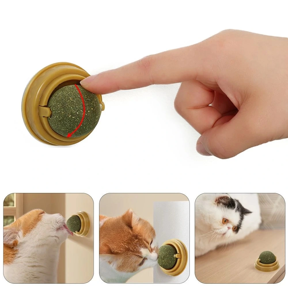 Duvara Yapışan Dönen Kedi Nanesi Cat Oyun Topu Doğal Kedi Oyuncağı 2 Duvara Yapışan Dönen Kedi Nanesi Cat Oyun Topu Doğal Kedi Oyuncağı - Görsel 2