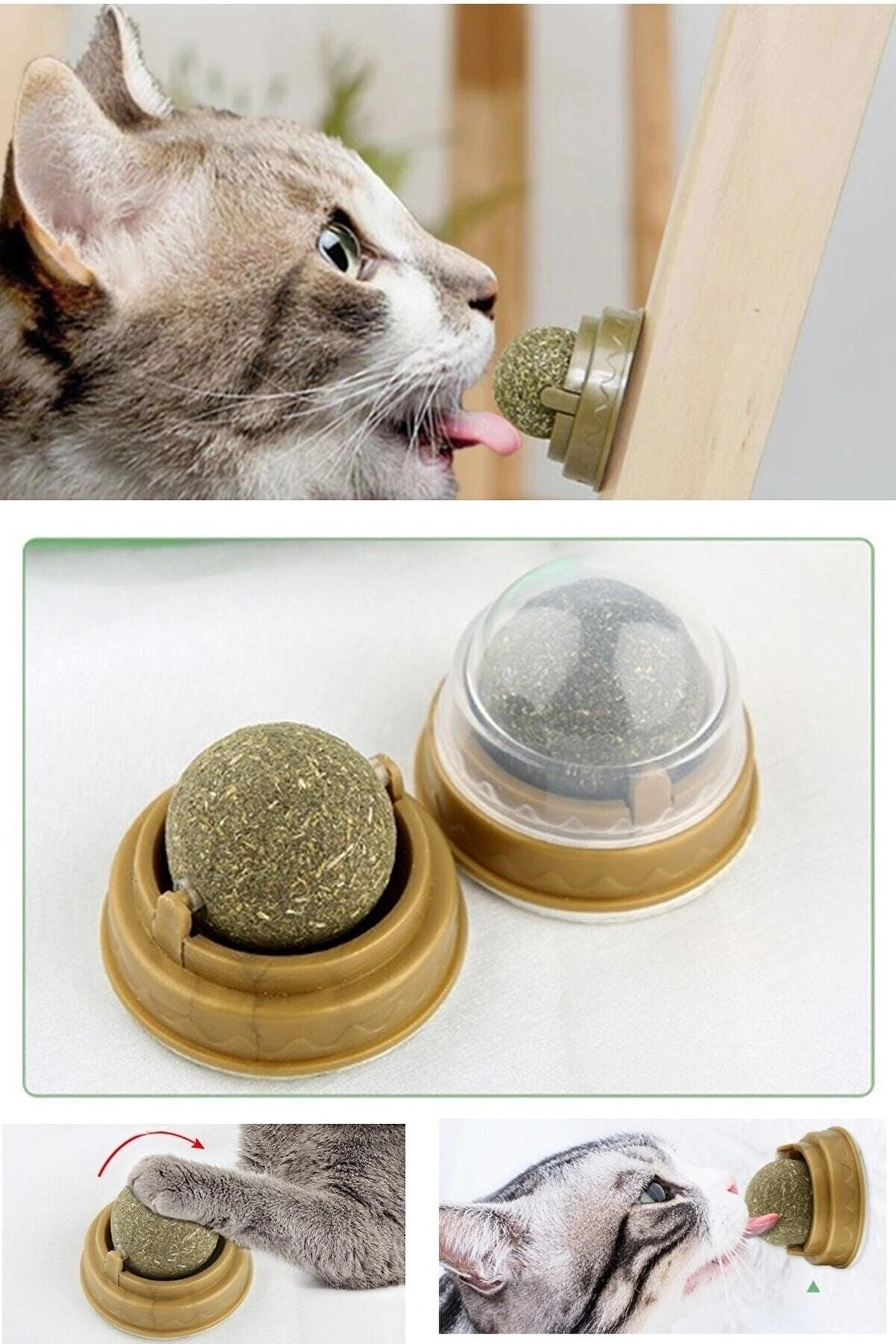 Duvara Yapışan Dönen Kedi Nanesi Cat Oyun Topu Doğal Kedi Oyuncağı 3 Duvara Yapışan Dönen Kedi Nanesi Cat Oyun Topu Doğal Kedi Oyuncağı - Görsel 3