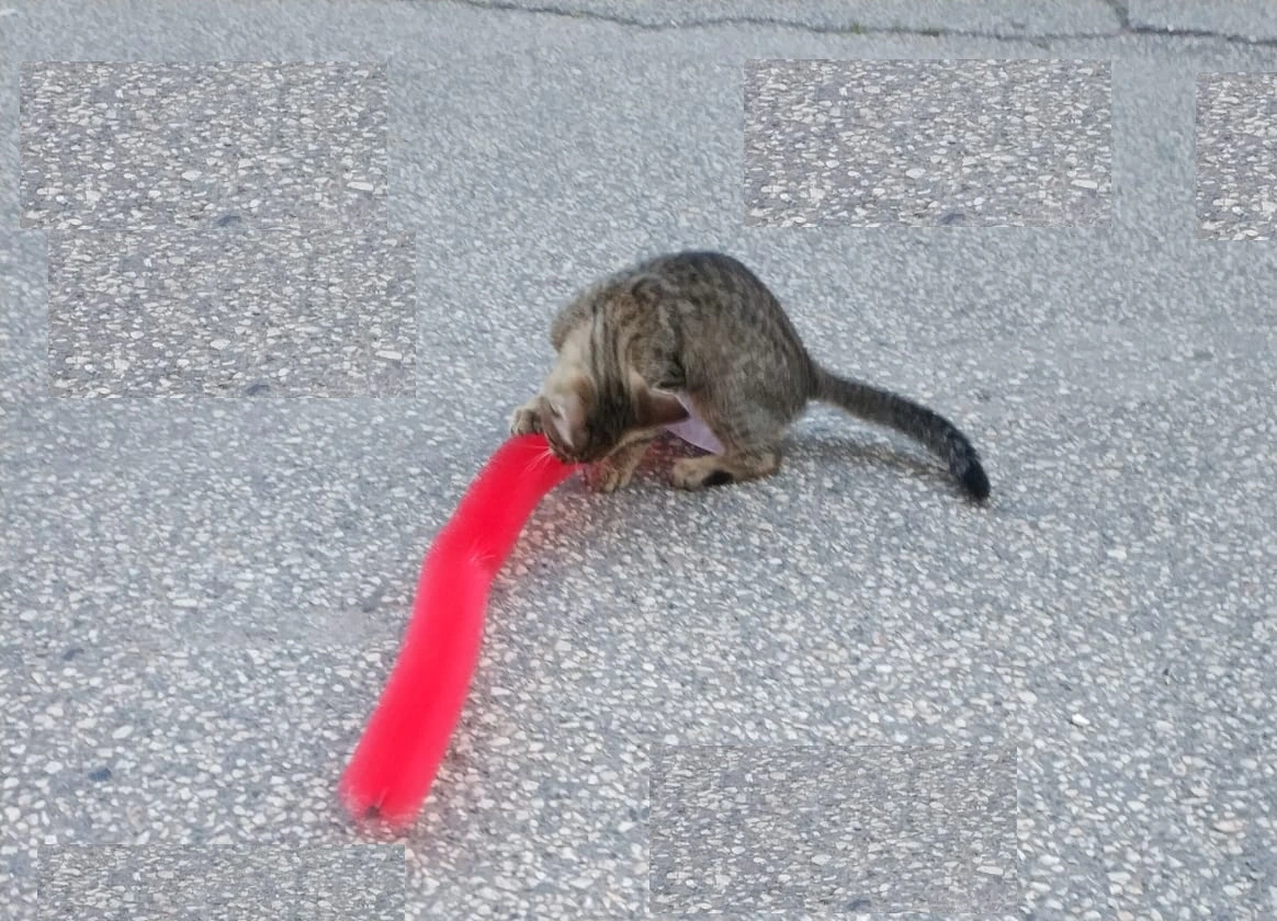 Kedi Tırmalama Fırçası - Kedi Oyuncağı 2 Kedi Tırmalama Fırçası - Kedi Oyuncağı - Görsel 2