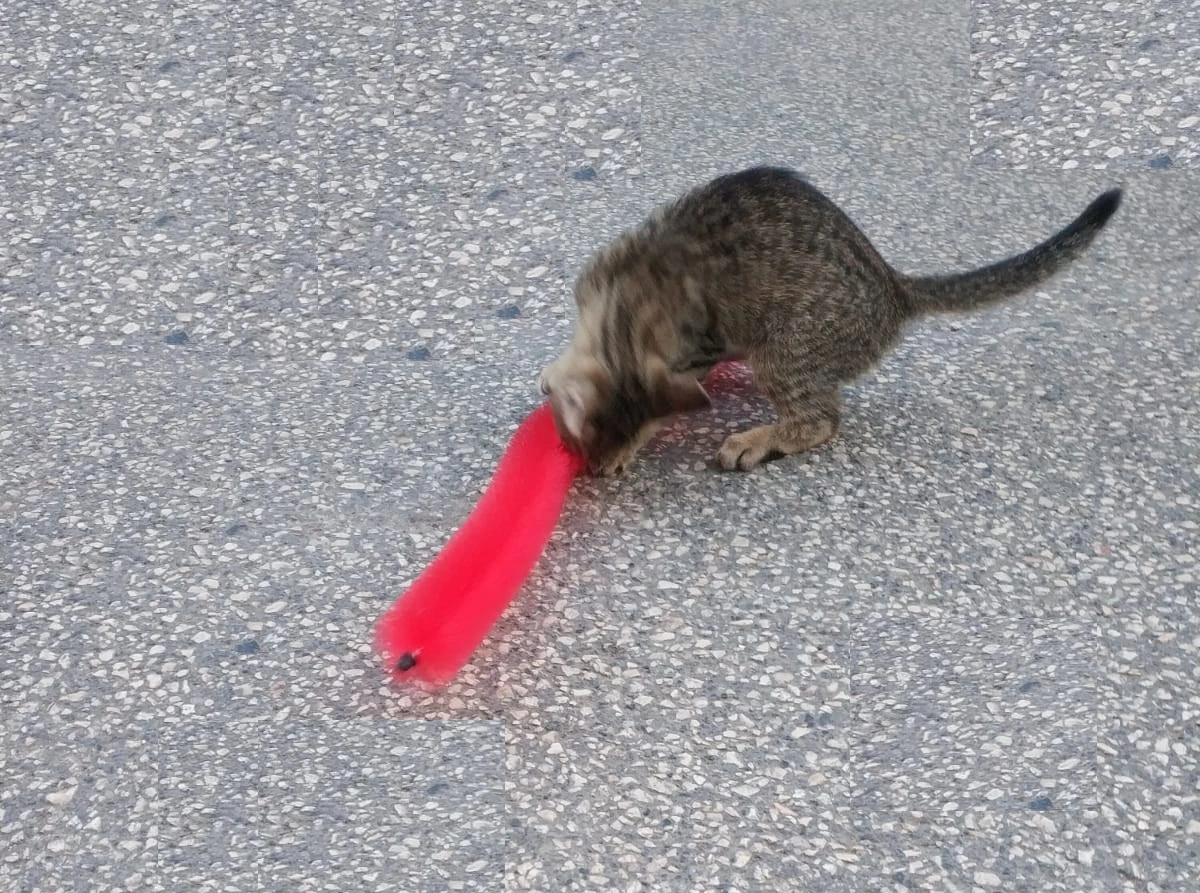 Kedi Tırmalama Fırçası - Kedi Oyuncağı 3 Kedi Tırmalama Fırçası - Kedi Oyuncağı - Görsel 3