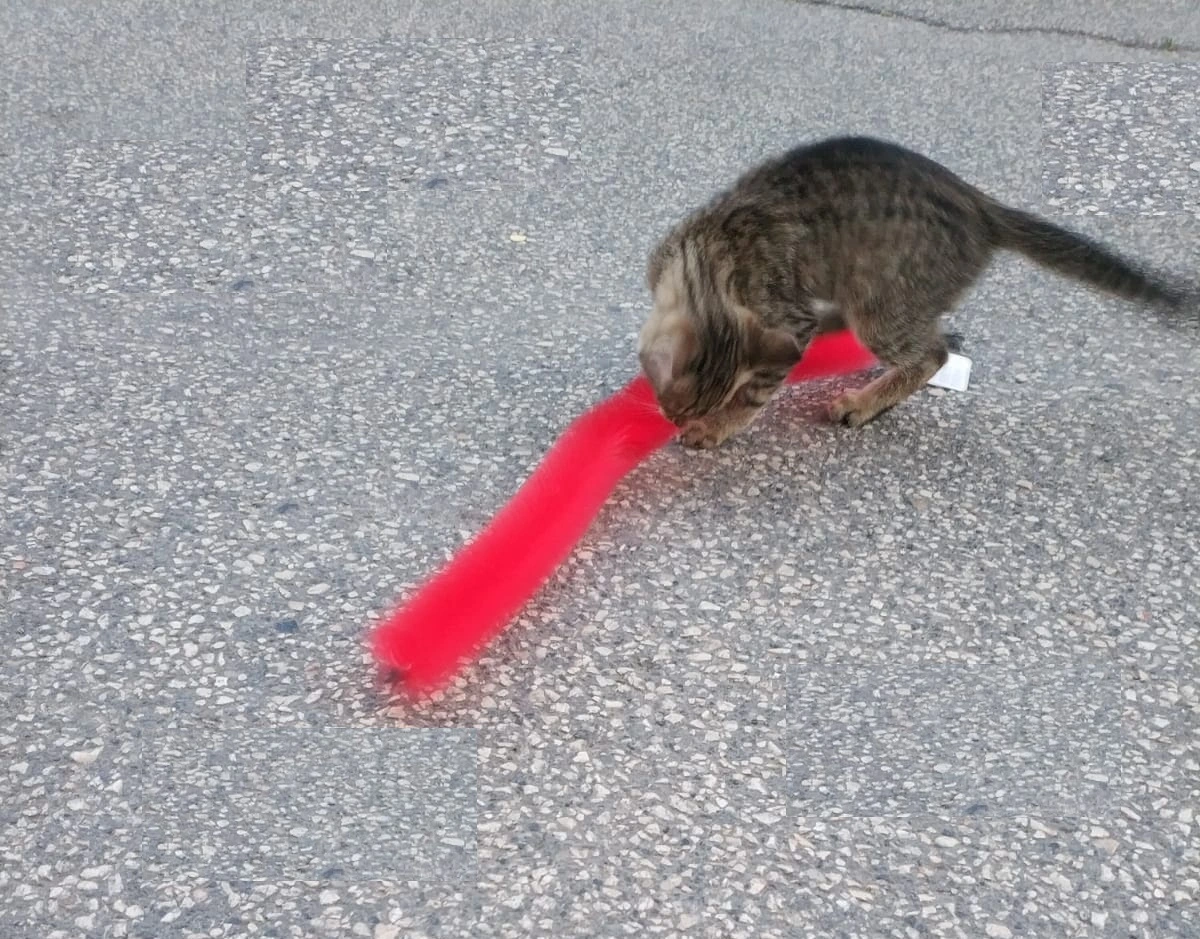 Kedi Tırmalama Fırçası - Kedi Oyuncağı 4 Kedi Tırmalama Fırçası - Kedi Oyuncağı - Görsel 4