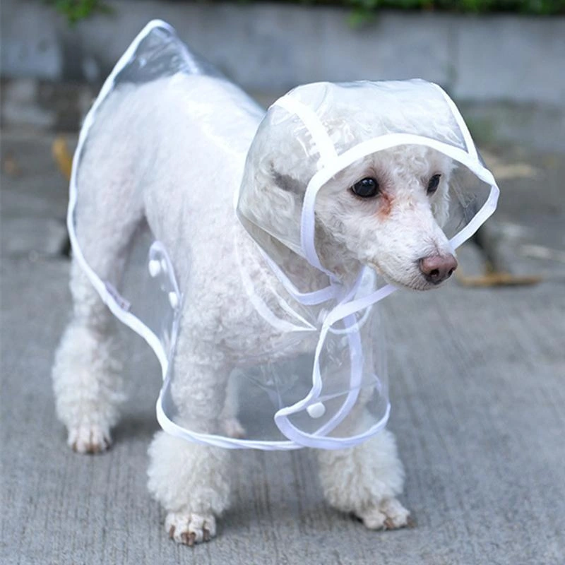 Köpek Yağmurluğu -sarı - (small) 2 Köpek Yağmurluğu -sarı - (small) - Görsel 2