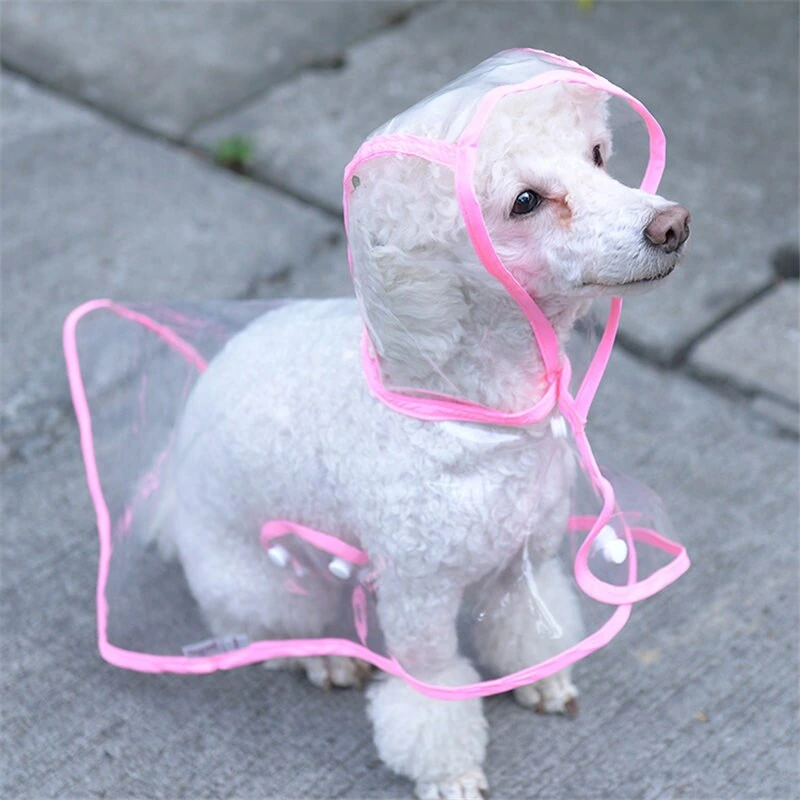 Köpek Yağmurluğu -sarı - (small) 3 Köpek Yağmurluğu -sarı - (small) - Görsel 3