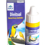 Papağan - Apex Divitsol Bağırsak Florası (ishal İçin)