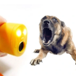 Ultrasonik Köpek Ve Kedi Uzaklaştırıcı