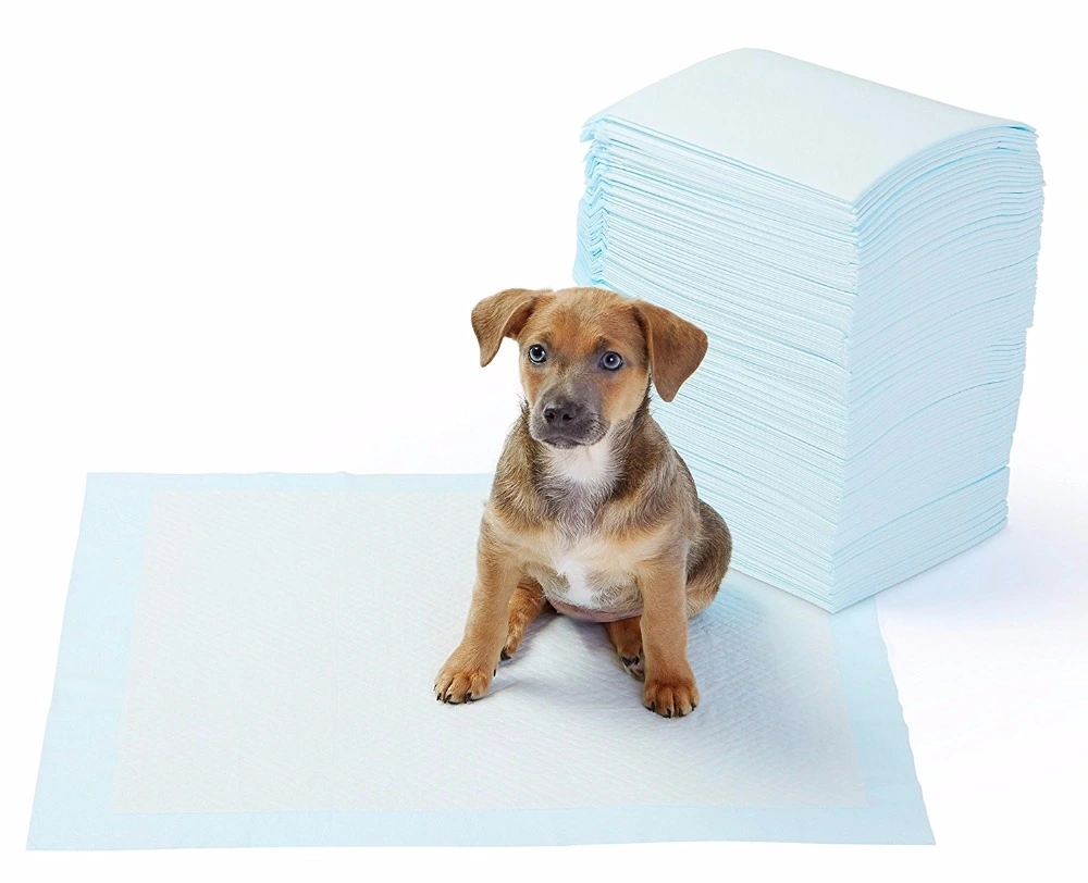 Yıkanabilir Köpek Çiş Pedi - 90 X 60 Cm 3 Yıkanabilir Köpek Çiş Pedi - 90 X 60 Cm - Görsel 3